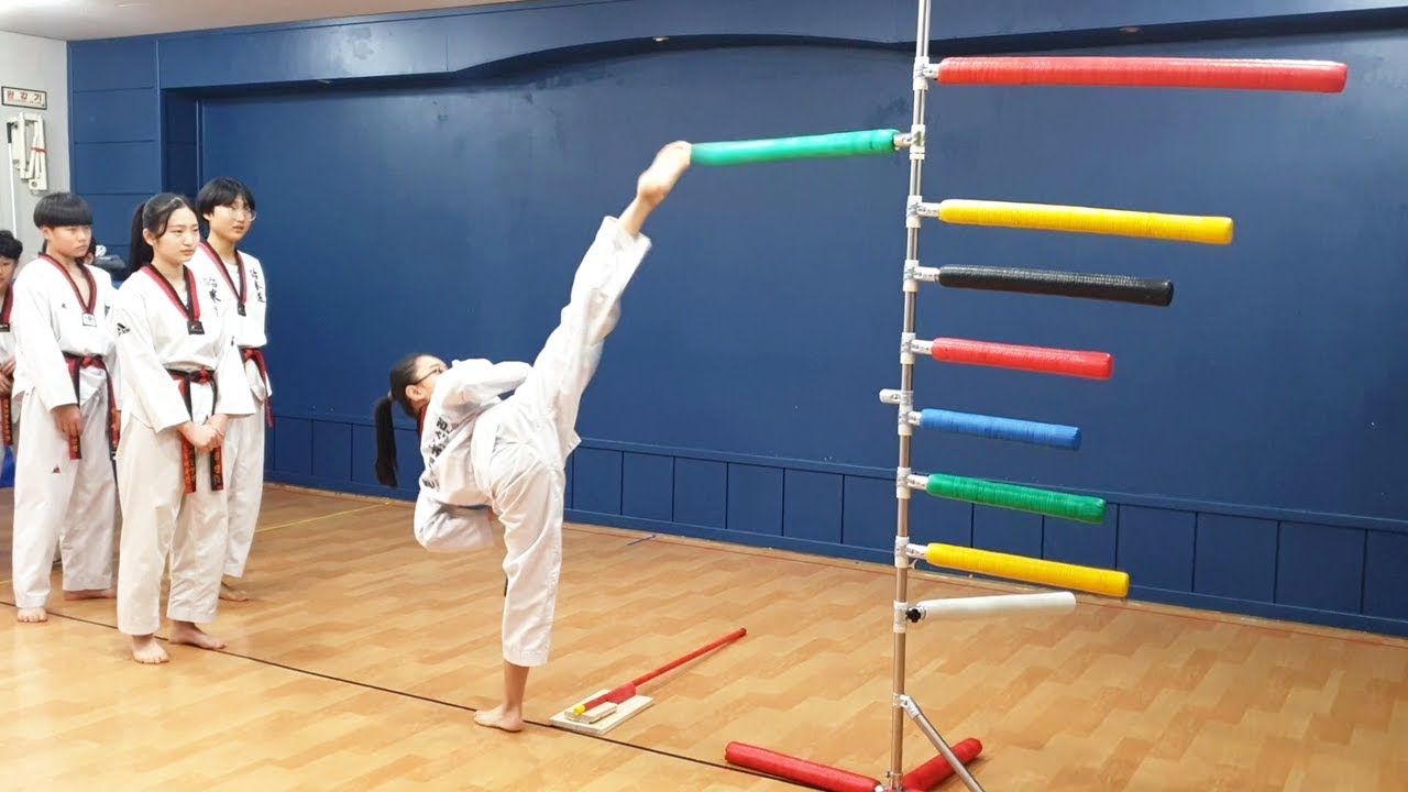 TATOOL태권도 돌려차기 지도법 스틱+무지개타격기 TAEKWONDO