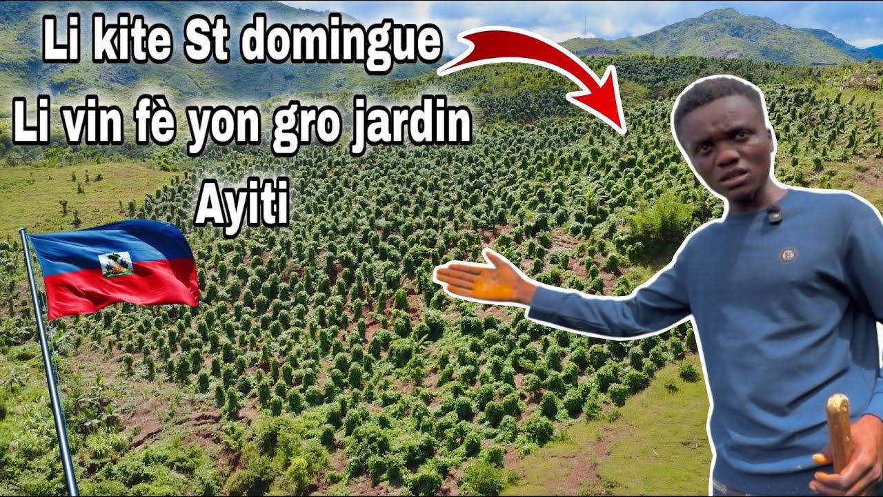 Vin gade gròsè yon jardin yon jèn ki kite saint Domingue fè nan peyil