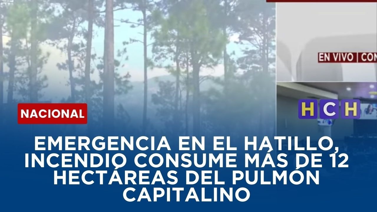 Emergencia en el Hatillo, incendio consume más de 12 hectáreas del pulmón capitalino