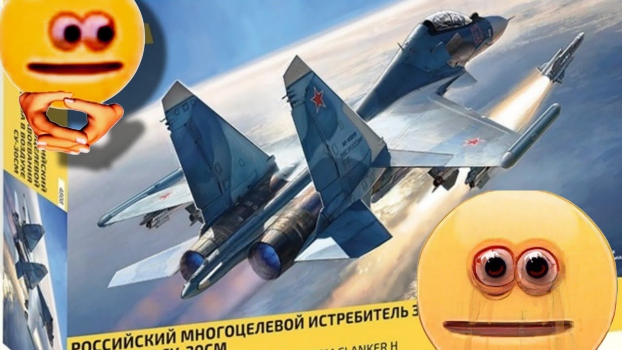Что не так с новинкой СУ-30СМ 1/48 от фирмы Zvezda | Мнение после сборки 