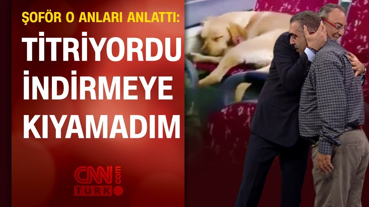 Köpeğin otobüste uyumasına izin veren İETT şoförü o anları anlattı: Titriyordu, indirmeye kıyamadım
