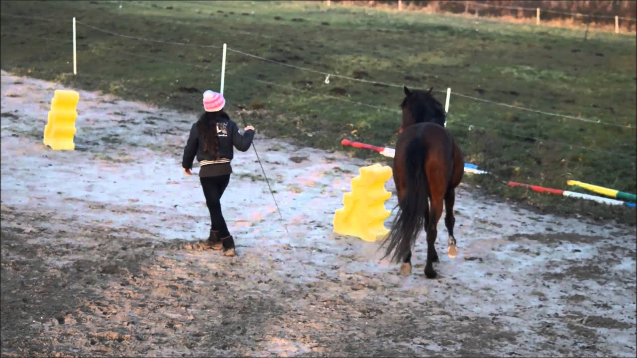 What Else - Pirouette et Pauline Beulze - travail en liberté