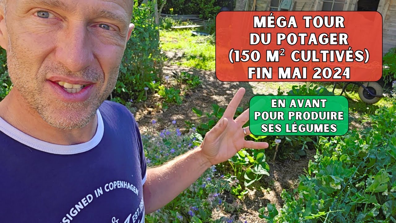 AU POTAGER - Fin mai 2024 - Associations, rotations des cultures...