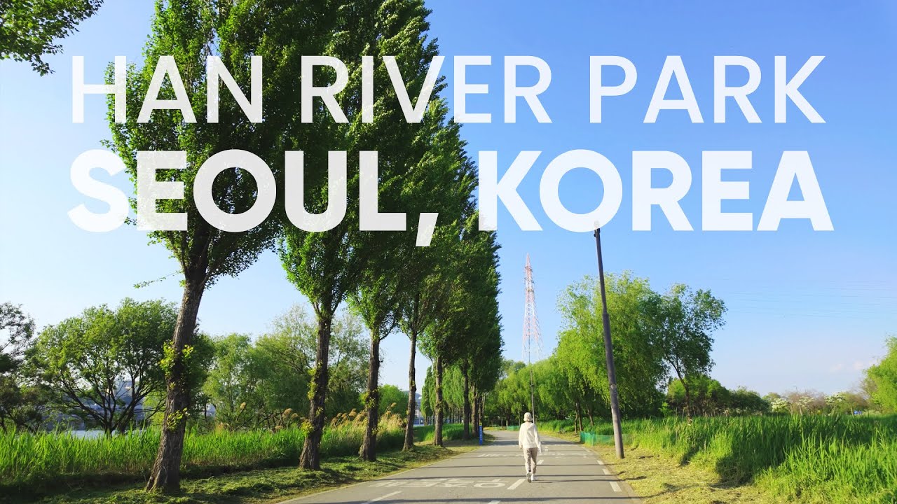 Spring Walk in Seoul 🇰🇷 | POV Jamwon Hangang Park, Han River Views