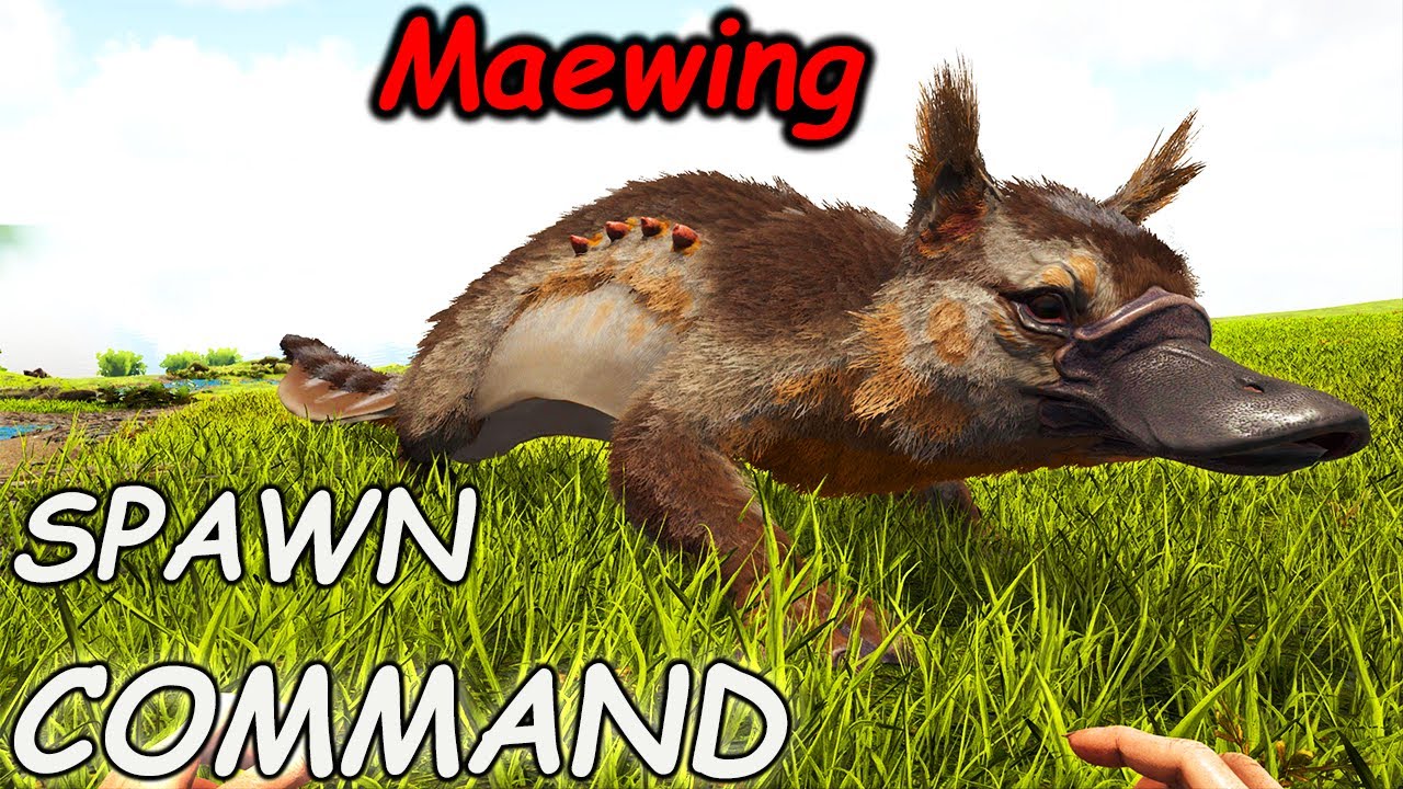 Maewing ARK Spawn Command | How To SUMMON Maewing ARK Code