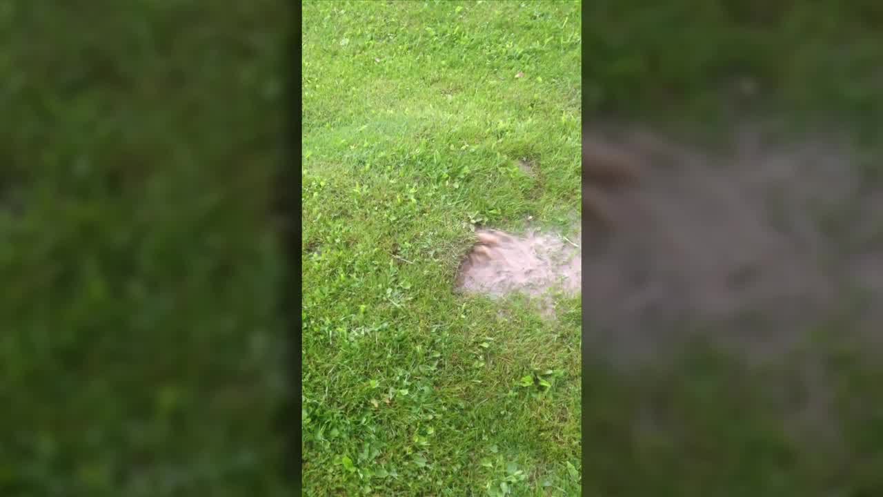 Water Under Lawn #2