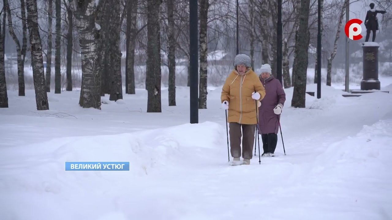 Метели, морозы, потепление