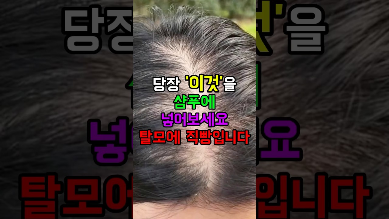 돈 한 푼 안 들이고 머리 풍성해지는 비밀