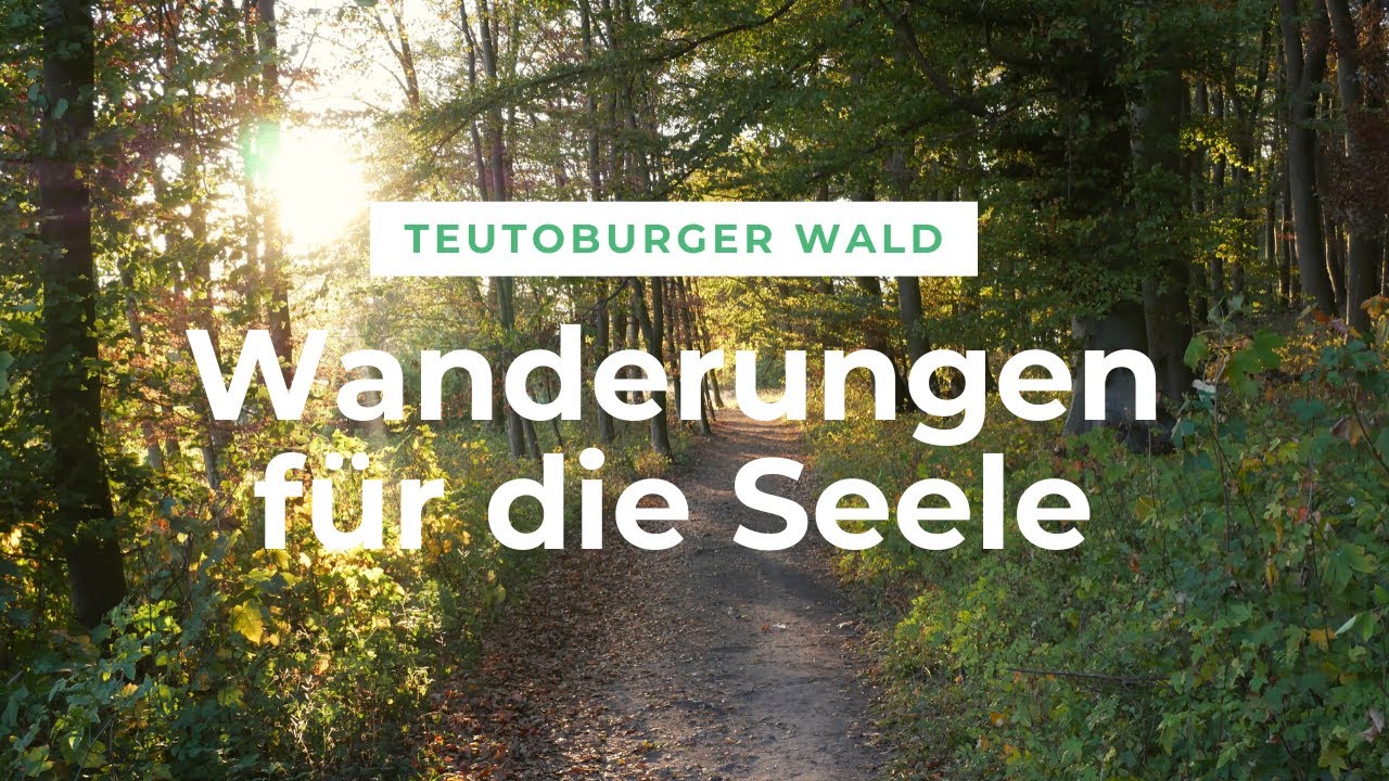 Teutoburger Wald: Wanderungen für die Seele