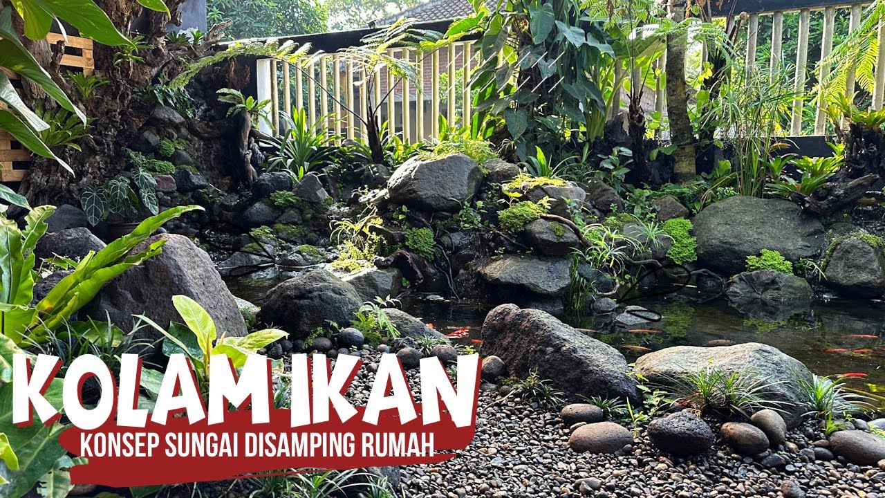 UPDATE!!!Kolam ikan disamping rumah,keren konsep sungai