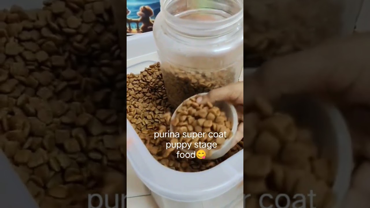 purina super coat puppy food 😍😍❤️