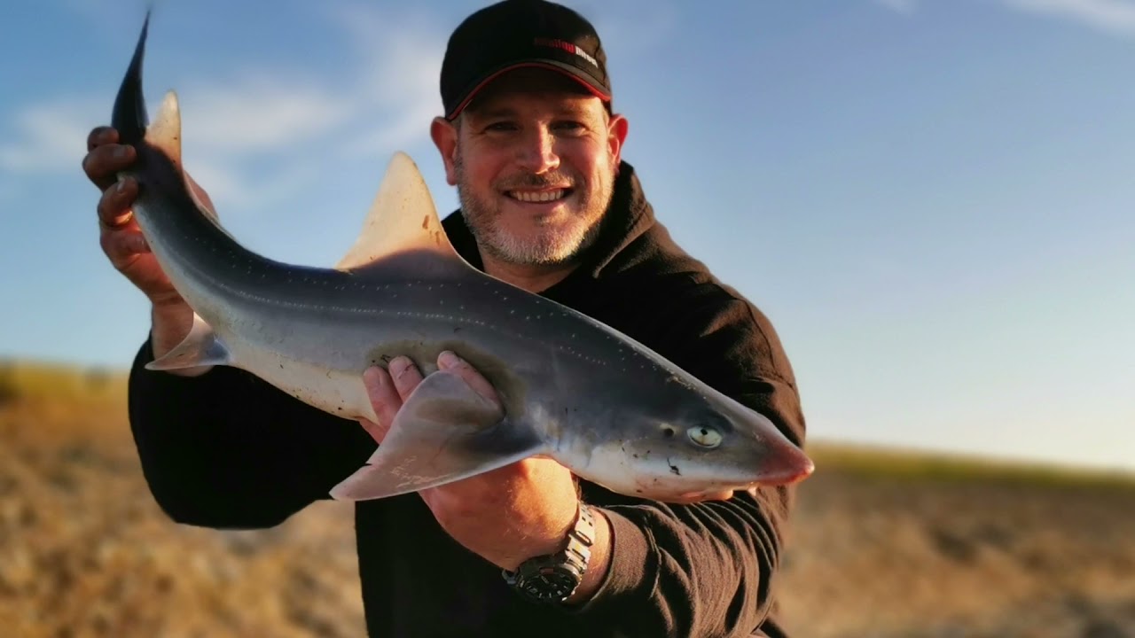 Reculver smooth hound fishing 07/07/21