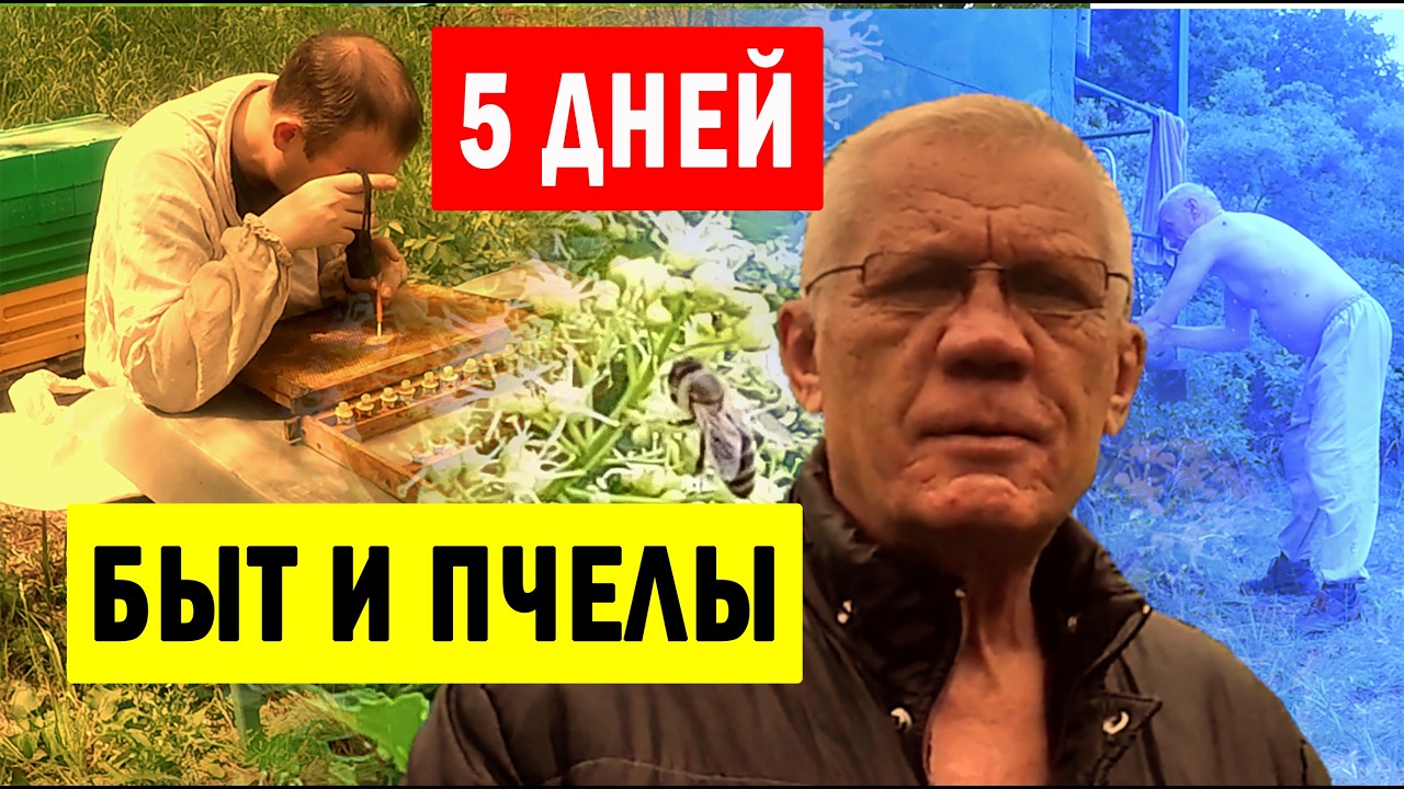 Кочевая пасека. БЫТ на пасеке. ЖИЗНЬ пчеловода на пасеке.