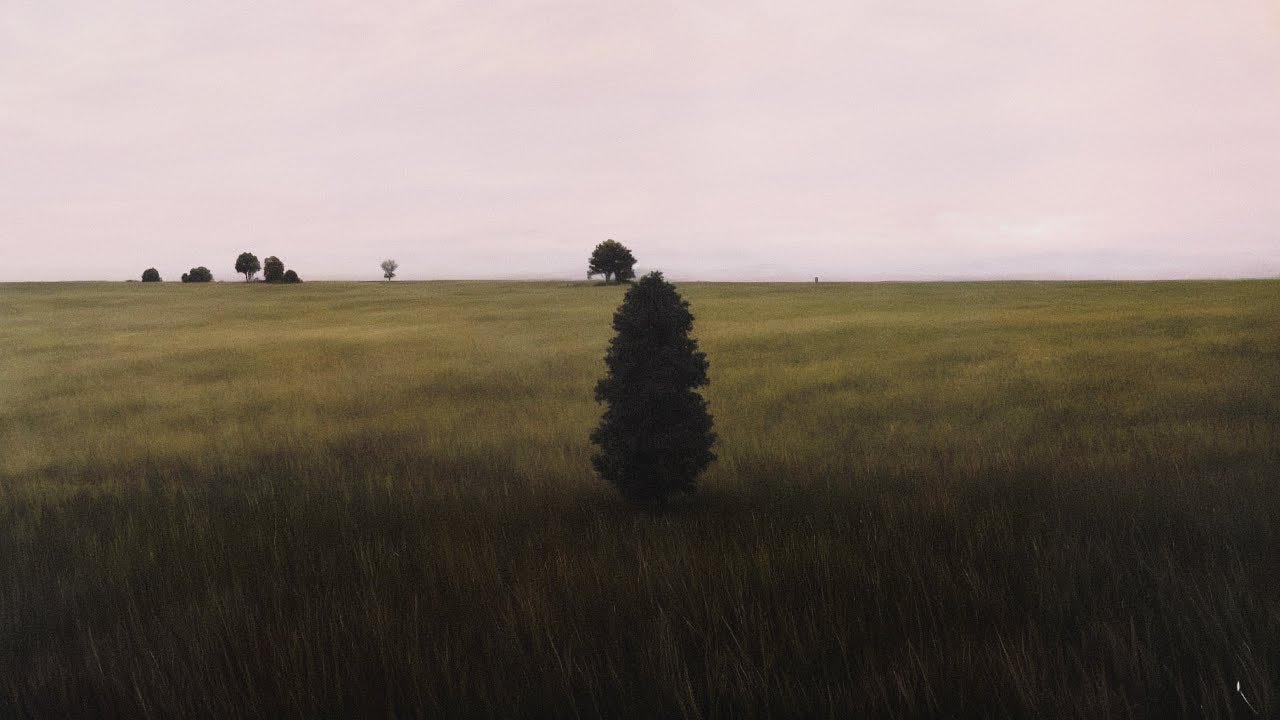 for when you forget how to just exist (playlist)