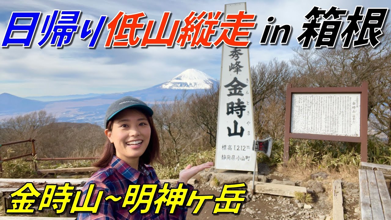 【ソロ登山】富士山の絶景！金時山から明神ヶ岳の縦走が最高すぎた！茶屋の名物も登場✨