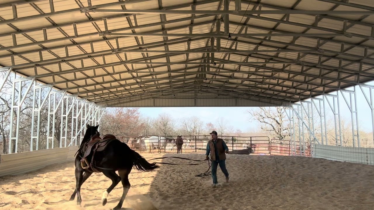 Spade’s first ride.  What do ya’ll think? Good or bad?  Post in comments 