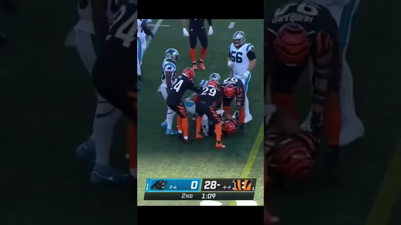 Bengals Stats and Facts #ajletstalksports #cincinnatibengals #carolinapanthers #nfl