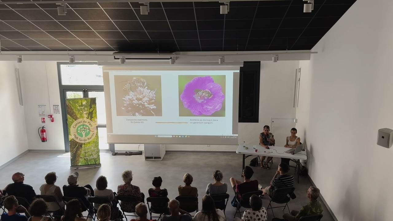 Conférence Abeilles Sauvages