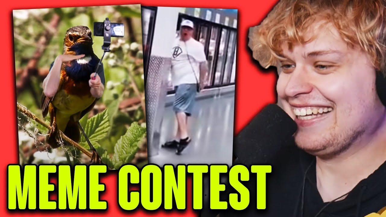 Whoever sends the best meme gets $50!!