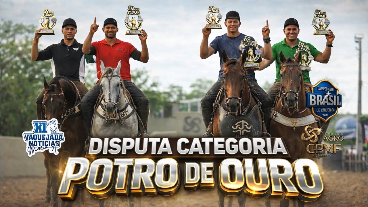 DISPUTA DO POTRO DE OURO NO CAMPEONATO BRASIL DE VAQUEJADA | VAQUEJADA AO VIVO