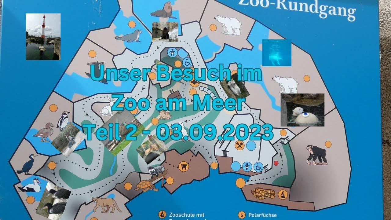 Unser Besuch im Zoo am Meer in Bremerhaven - 03.09.23 - Teil 2