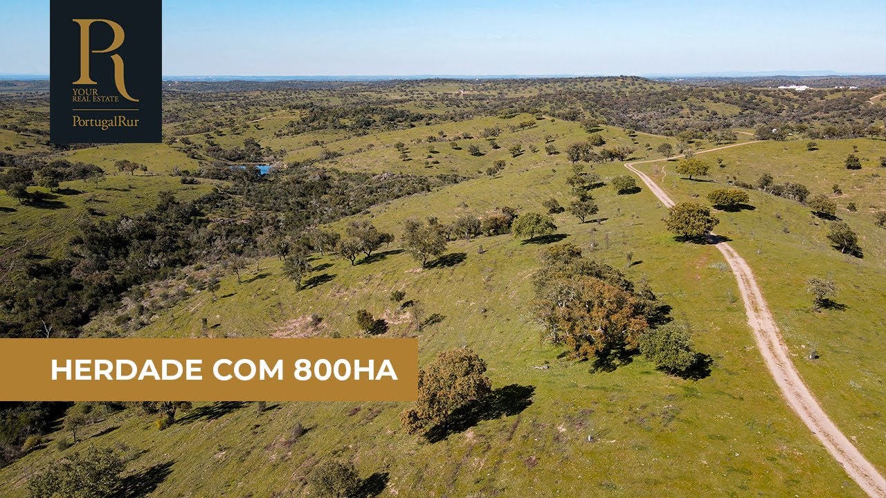 Herdade de 800 hectares para venda | REF. 476-21