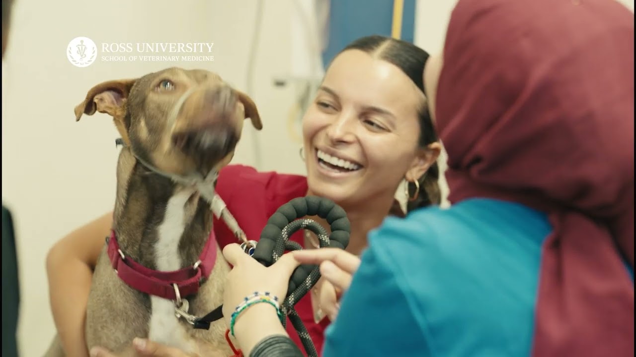 Ross Vet Testimonial Holly, Elsie