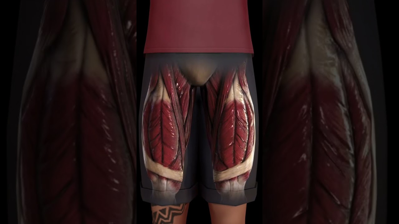 Baseado em fatos reais - A autopsia do MC Kevin.