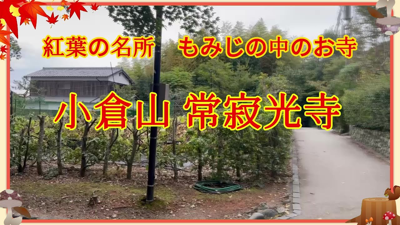 【京都】 嵯峨 紅葉 名所 もみじの中のお寺 常寂光寺