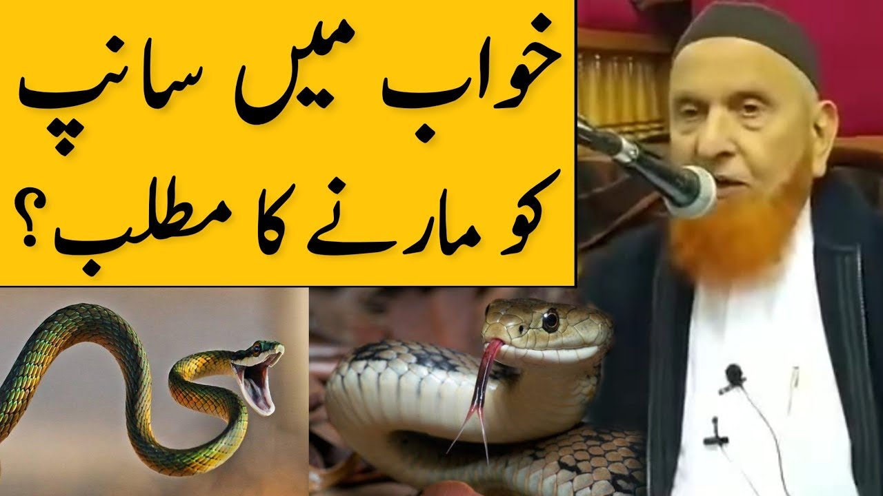 Khawab Mein Saanp Ko Marne Ka Matlb | Maulana Makki Al Hijazi | Islamic Group
