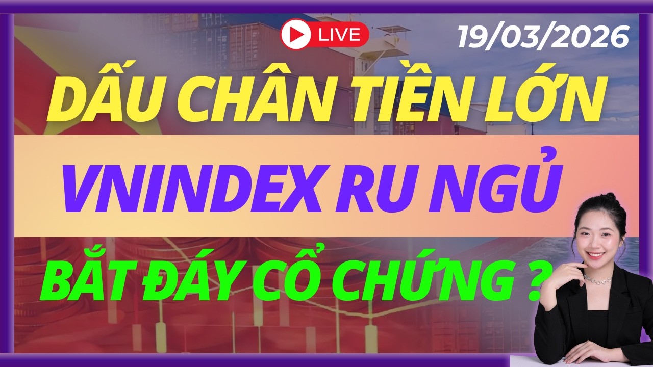 Chứng Khoán Thủng Đáy Có Nên Bắt Vào ? | LIVESTREAM | DAILY