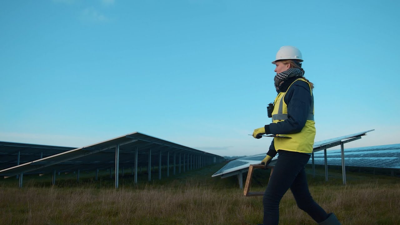 Onderzoek effect van zonneparken op het leefgebied van roofvogels