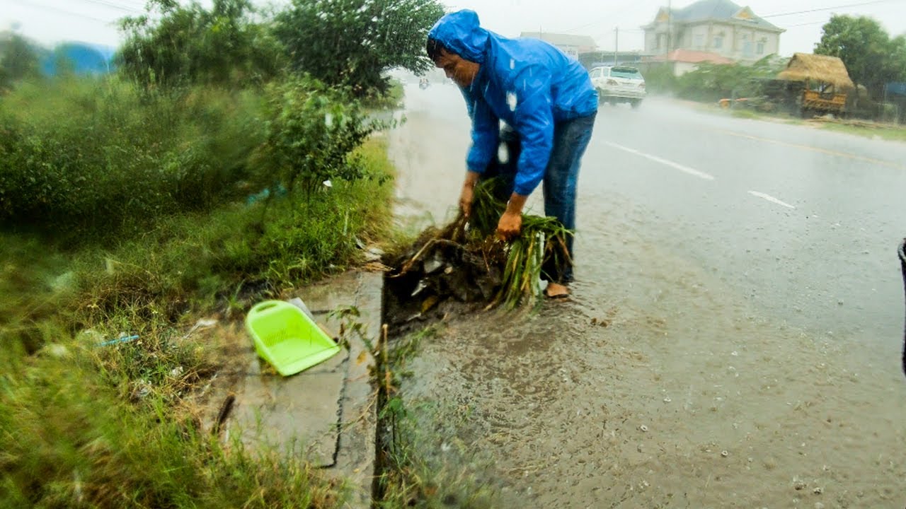 This Culvert Never Drain A Long Time - Remove Grass Clogged Culvert On Street