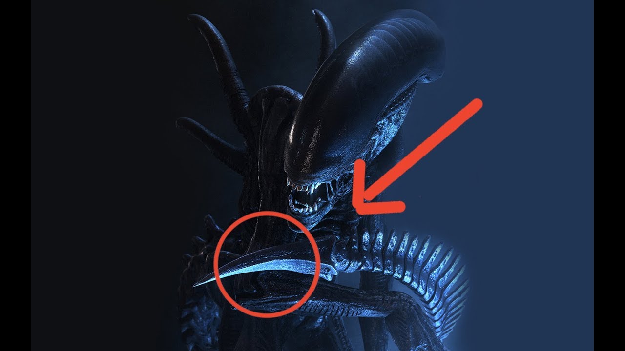 TOP 10 FACTS ABOUT THE PREDATOR THAT YOU DID'NT KNOW!!!