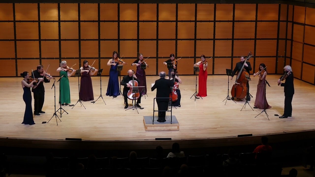 Giuseppe Verdi: Symphony for Strings in E minor 1st movement