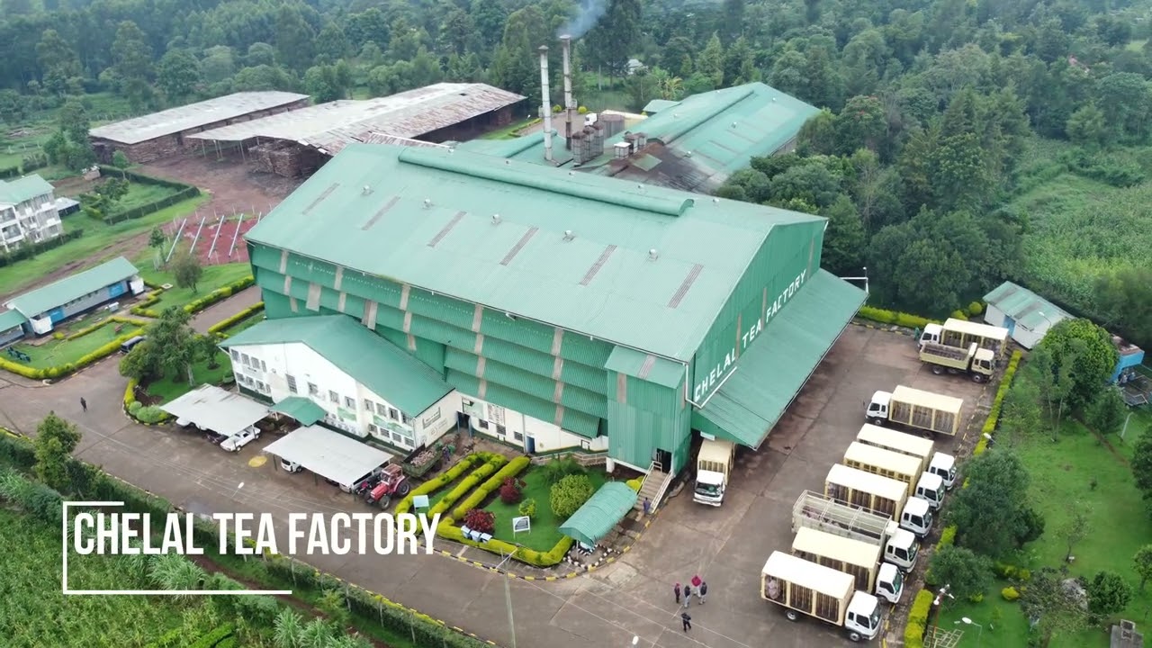CHELAL, KAPKATET, TEBESONIK, LITEIN KTDA TEA FACTORIES OVERVIEW
