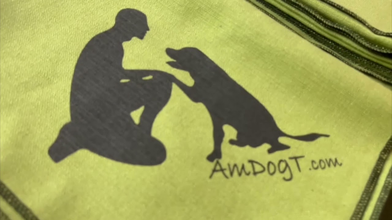La copertina AmDogT!!!