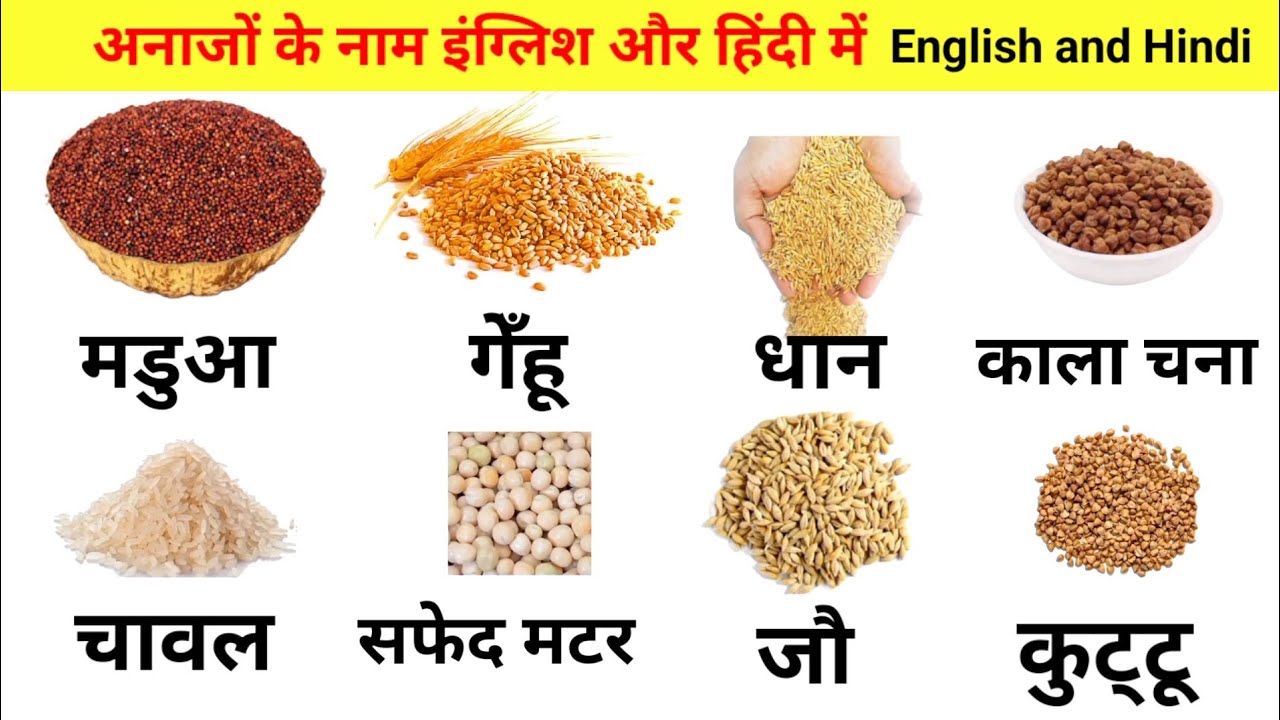 अनाजों के नाम इंग्लिशऔर हिंदी में || Cereals and Grains name in English and Hindi With Pictures