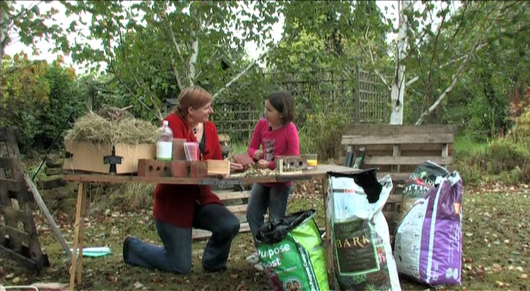 The Wildlife Garden Project - A guide to building a bug hotel!