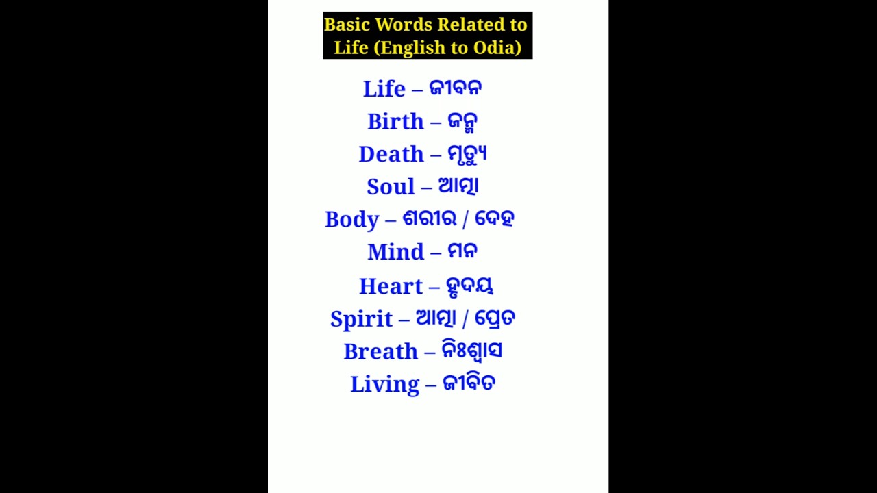 Basic Words Related to Life (English to Odia) | Boost Your English Vocabulary
