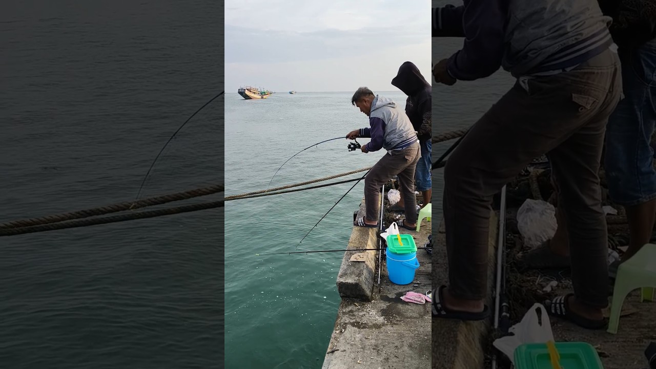 Strike diluar dugaan #shorts #shortsvideo #mancing #mancingikan #mancingdilaut #strike