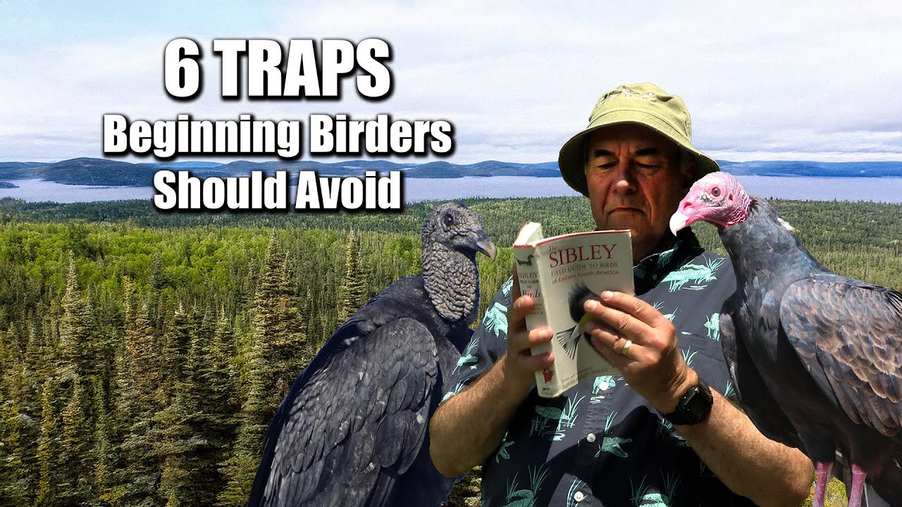 6 Traps Beginning Birders Should Avoid