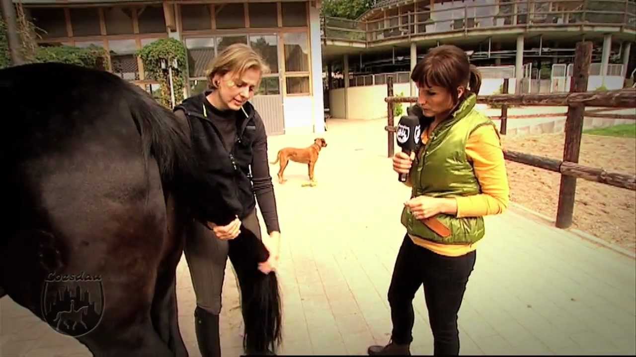 Loesdau Lessons: Basics mit Kati: Mähne und Schweif des Pferdes einflechten