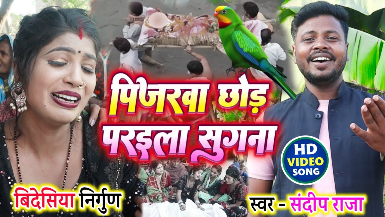 #video पिजरवा छोड़ परइला सुगना #superhit बिदेसिया निर्गुण गीत Singer #Sandeep_Raja