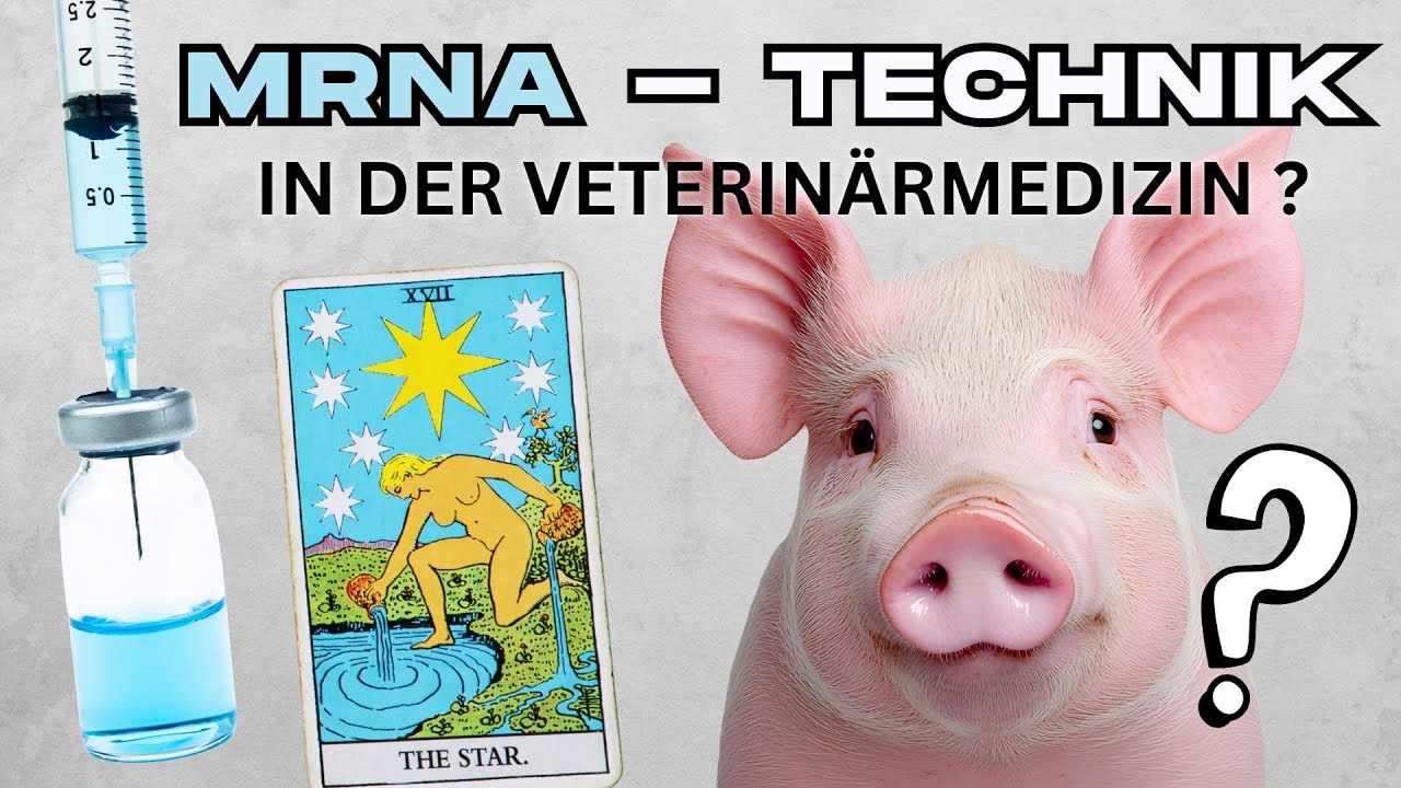 mRNA-Technik bei Tieren: Verändert sie unsere Gesundheit?