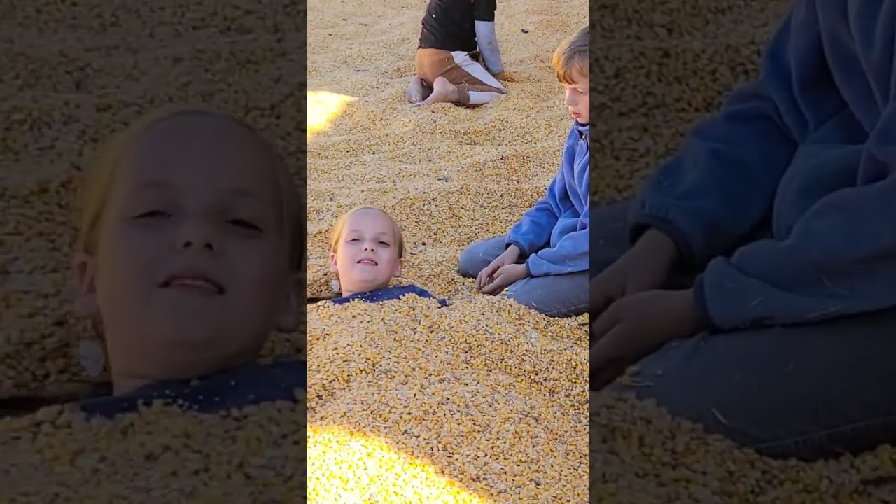 Jaker's Pumpkin Patch