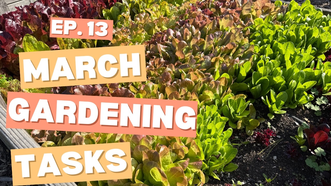 Episode 13 - March Gardening Tasks