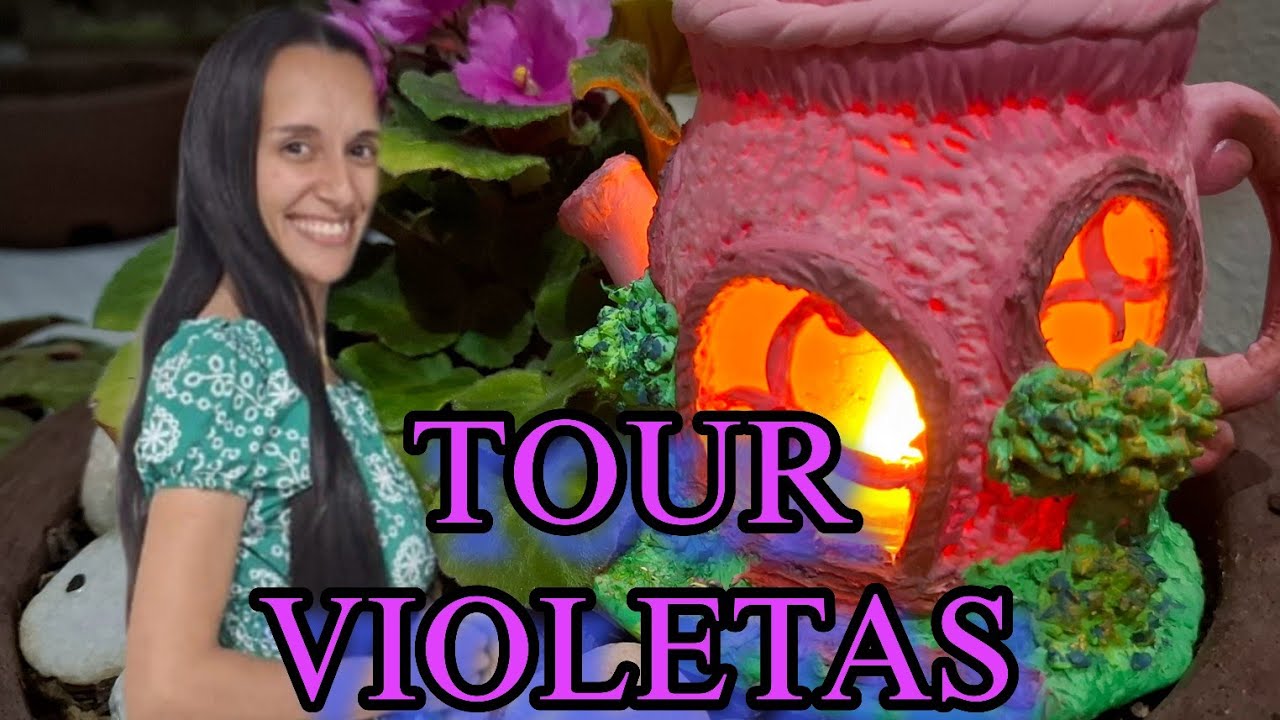 Um pouquinho das minhas VIOLETAS