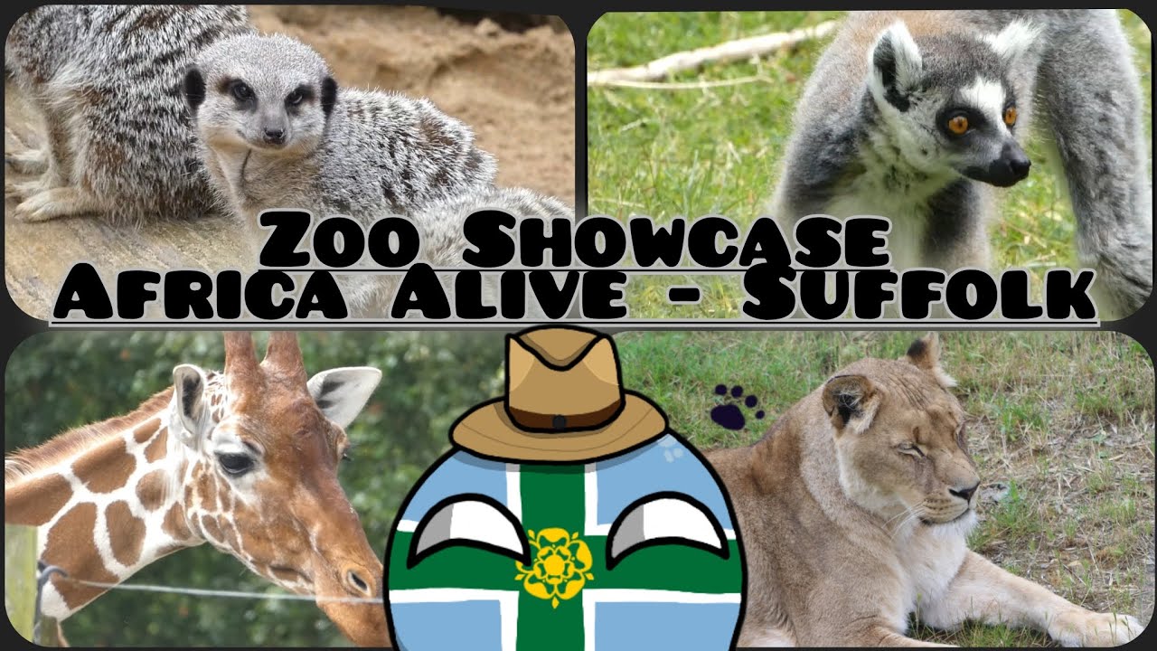 Zoo Showcase Episode 1: Africa Alive - Suffolk