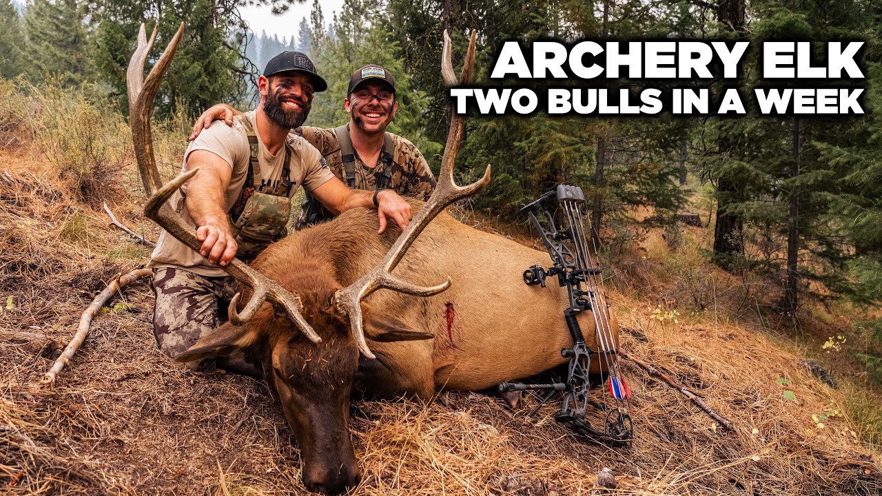 Two Bulls In A Week w/Rich Froning & Born & Raised Outdoors // Archery Elk Hunt